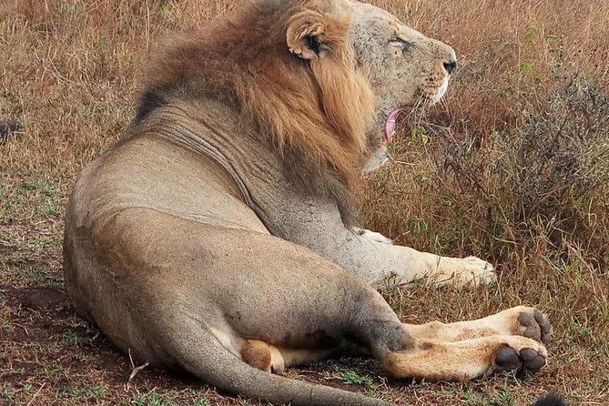 Nairobi Nat Park,Sheldrick Elephant Giraffe Centre&Karen Blixen - Karen Blixen Museum