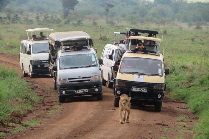 Nairobi Nat Park,Sheldrick Elephant Giraffe Centre&Karen Blixen - Inclusions and Exclusions