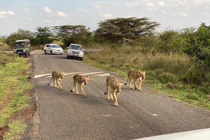 Nairobi National Park and Giraffe Center - Additional Considerations