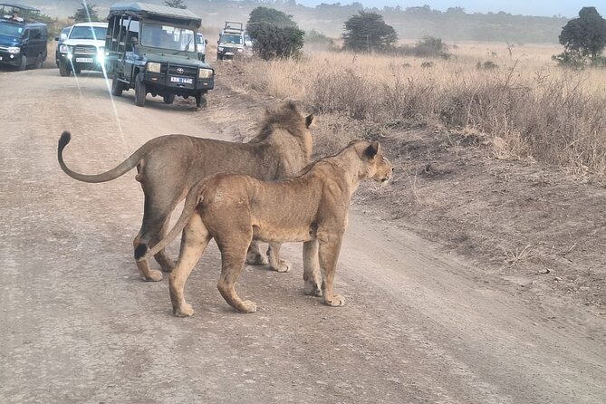 Nairobi National Park and Giraffe Centre Guided Safari Tour - Pricing and Availability