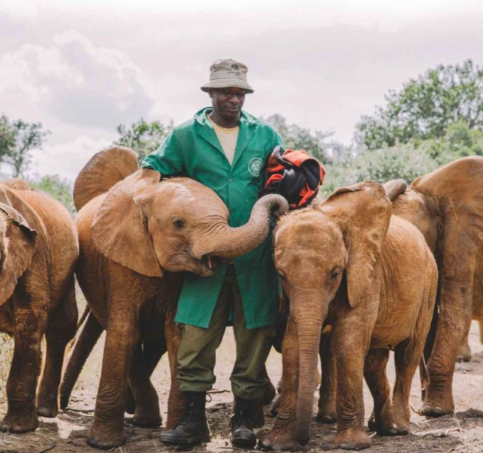Nairobi National Park, Baby Elephant & Giraffe Center Tour - Giraffe Centre Interaction