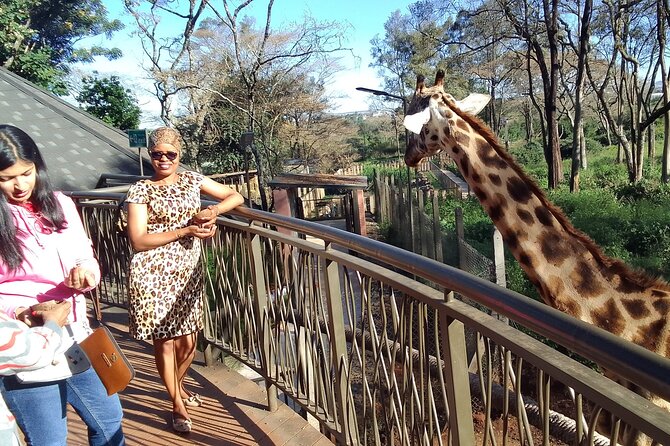 Nairobi National Park, Baby Elephant Orphanage and Giraffe Center - Logistics
