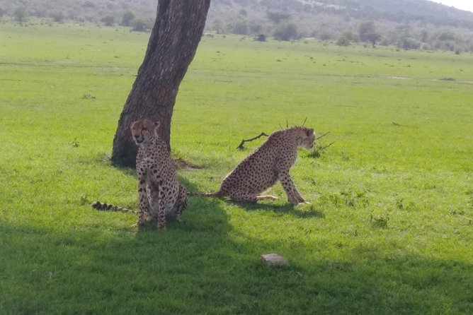 Nairobi National Park - Key Points