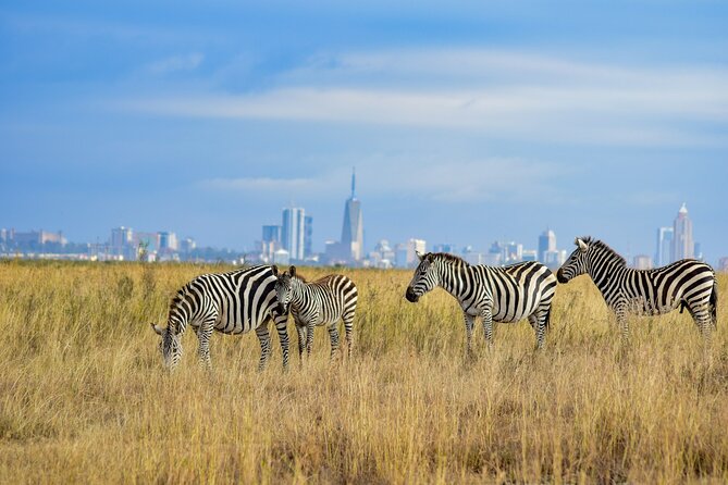 Nairobi National Park Early Morning or Afternoon Game Drive - Tour Highlights