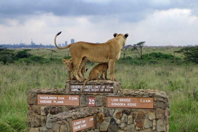 Nairobi National Park, Elephant Orphanage, Giraffe Centre,Karen Blixen Day Tour - Pricing Details