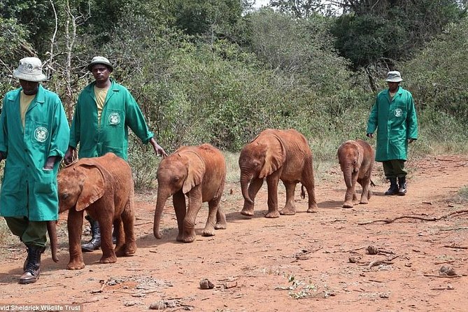 Nairobi National Park, Elephant Orphanage, Giraffe Centre,Karen Blixen Day Tour - Logistics