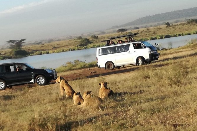 Nairobi National Park, Elephant Orphanage, Giraffe Centre,Karen Blixen Day Tour - Giraffe Center