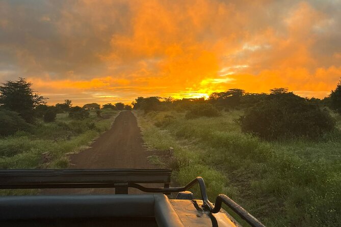 Nairobi National Park Game Drive. - Cancellation Policy and Refunds