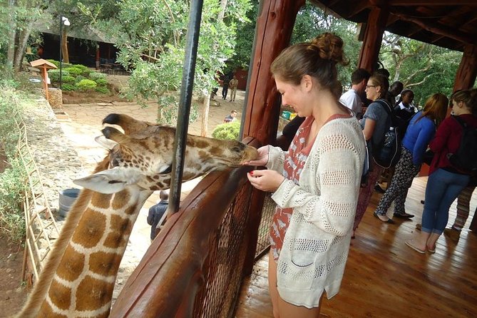 Nairobi National Park, Giraffe Center and Elephant Orphanage Day Tour From Nairobi - Tour Experiences