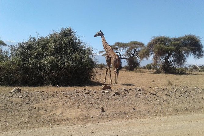 Nairobi National Park, Giraffe Center & Karen Blixen Museum - Visiting the Karen Blixen Museum