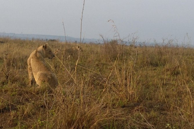 Nairobi National Park, Giraffe Center & Karen Blixen Museum - Additional Information