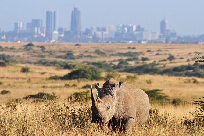 Nairobi National Park Group Shared Tour - Inclusions