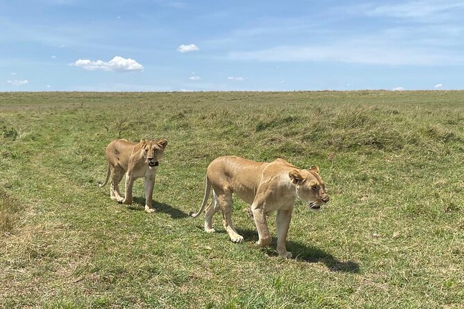 Nairobi National Park Group Shared Tour - Additional Information