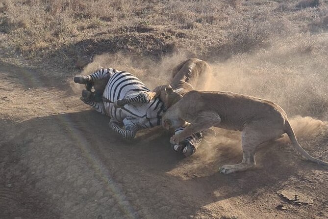 Nairobi National Park Group Shared Tour - Itinerary