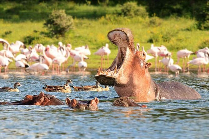 Nairobi National Park Group Tour - Reviews and Ratings