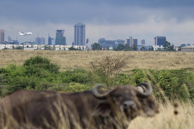 Nairobi National Park Guided Tour - Preparing for Your Tour