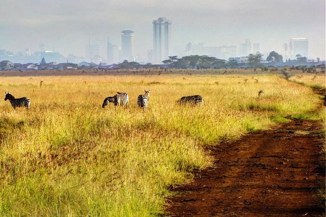 Nairobi National Park: Half Day Guided Tour From Nairobi - Inclusions and Exclusions