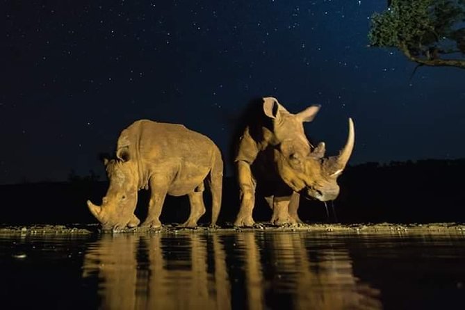 Nairobi National Park Half Day Tour - Tour Duration and Schedule
