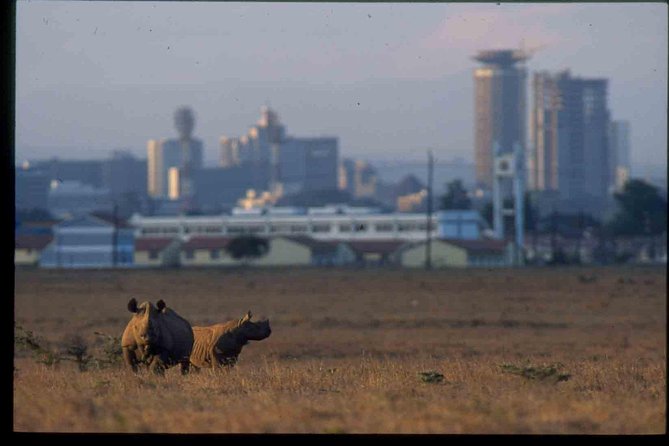 Nairobi National Park Safari - Overview