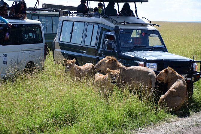 Nairobi National Park Shared Tour - Wildlife Sightings