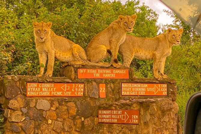 Nairobi National Park Sun Rise Game Drive With Pickup & Drop-Off - Inclusions and Exclusions Overview