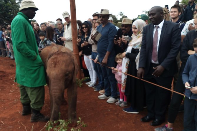 Nairobi Park, Steamark Birds, Girraffe Center & Bomas - Logistics