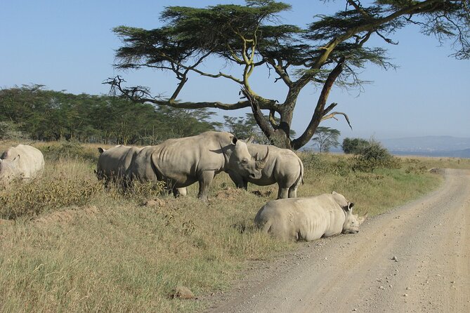 Nairobi Park Wildlife Safari - Reviews and Badge of Excellence