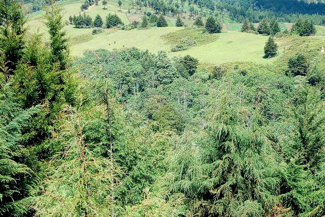 Nairobi Zip Lining Adventure Experience - Safety Precautions and Guidelines