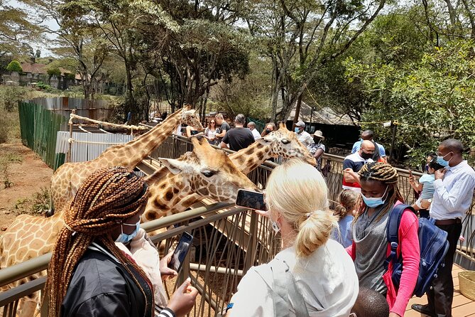 Nairobinational Park, Giraffe Center , Elephant and Blixen Museum - Pricing and Cancellation