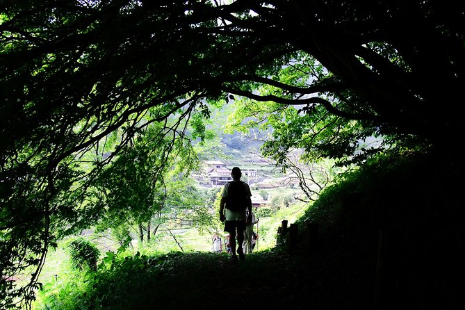 Nakasendo Self-Guided Walking Tour 2 Days - Tour Suitability