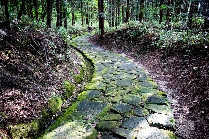 Nakasendo Self-Guided Walking Tour 2 Days - Nakasendo Road Exploration