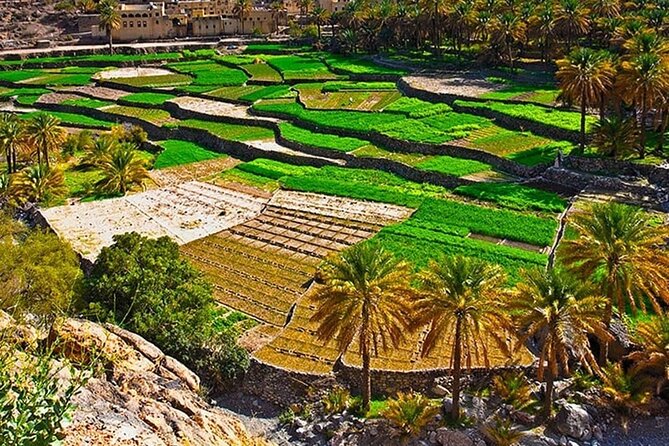 Nakhal Fort-Nakhal Hotspring-Wadi Bani Awf-Bilad Sayt - Private Full Day Tour - Exploring Nakhal Fort
