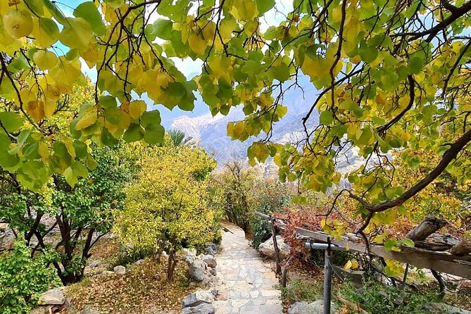 Nakhal Hotspring and Wakan Village Private Full Day Tour - Tour Participation and Requirements
