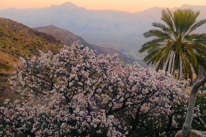 Nakhal Hotspring and Wakan Village Private Full Day Tour - Pricing and Cancellation Policy