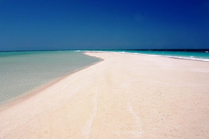 Nakupenda Beach Day Tour in Zanzibar - Positive Traveler Experiences