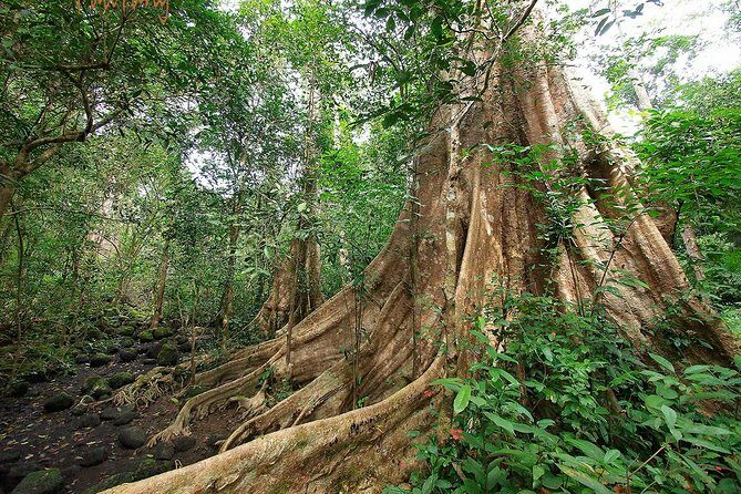 Nam Cat Tien National Park 2-Day Tour with Lodging, Meals.. - Key Points