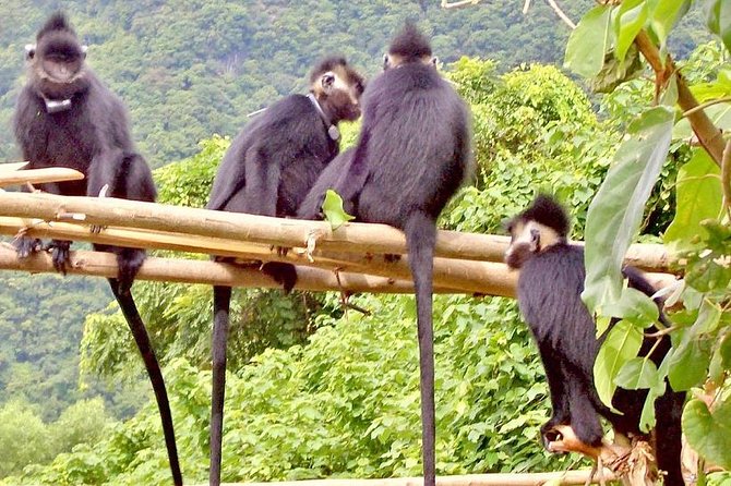 Nam Cat Tien National Park 2 Days 1 Night Tour - Overview of the Tour