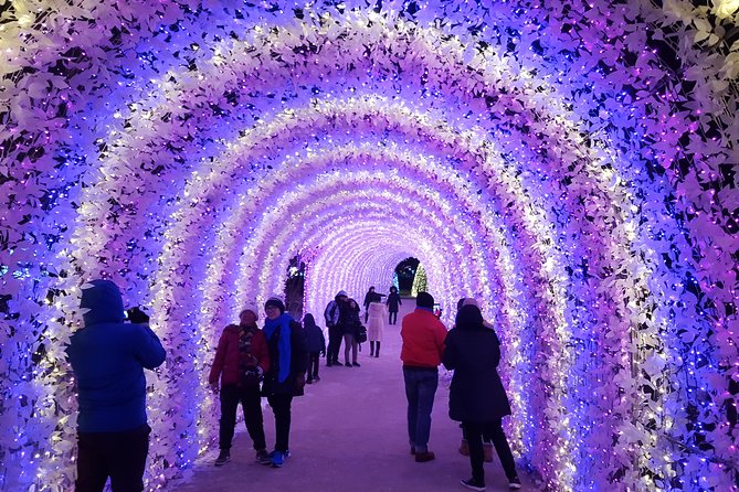 Nami Island and Petite France With the Garden of Morning Calm One Day Tour - Inclusions and Amenities