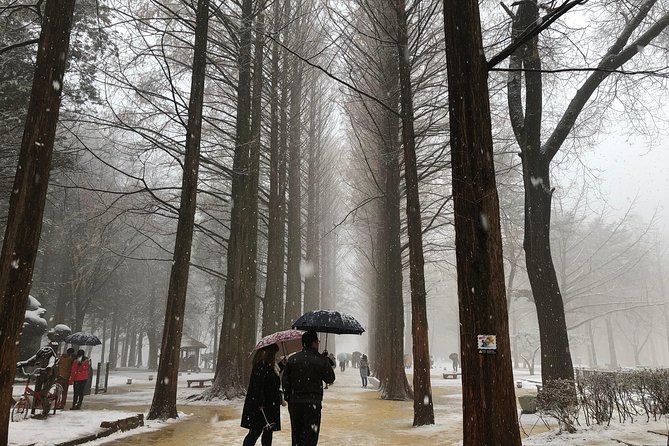 Nami Island and Petite France With the Garden of Morning Calm One Day Tour - Reviews and Recommendations