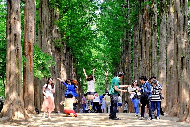 Nami Island, Cable Car, Garden of Morning Calm Panoramic Tour - Pickup and Drop-off