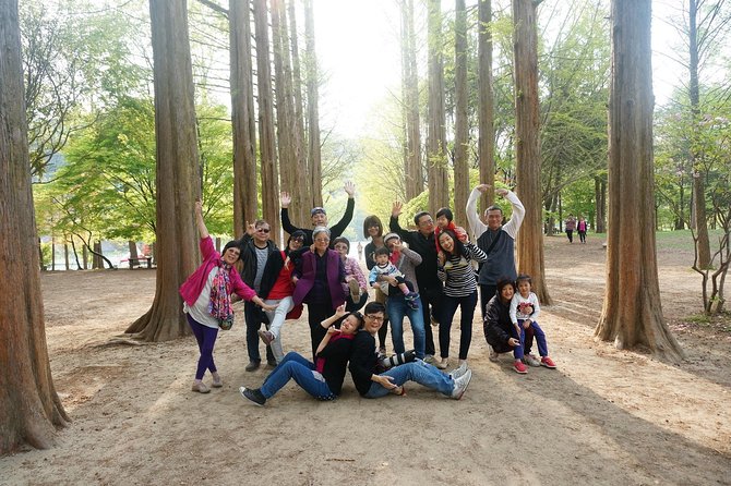 Nami Island From Seoul: Petit France and Garden of Morning Calm - Itinerary and Inclusions