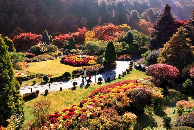 Nami Island & Garden of Morning Calm & Gangchon Railbike Tour - Ideal for Families and Groups