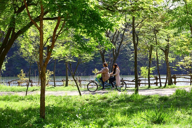 Nami Island & Mount Seorak Day Trip From Seoul - Meeting Points and Pickup