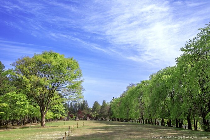 Nami Island & Mount Seorak Day Trip From Seoul - Traveler Experiences
