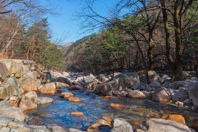 Nami Island & Mount Seorak Day Trip From Seoul - Pricing and Booking