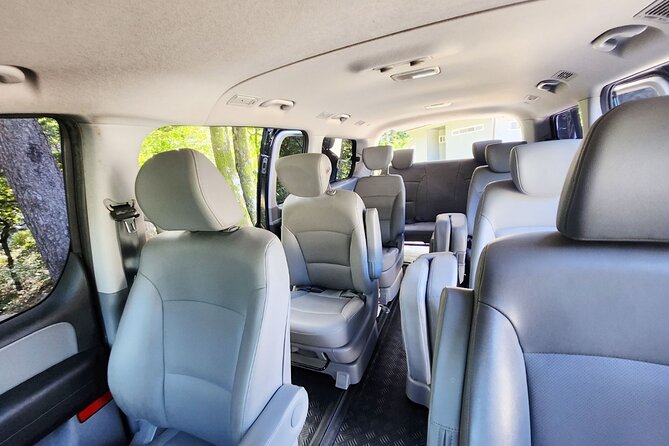 Nami Island & Nearby Attractions : Charter Van Tour With Driver - Pricing and Booking Information