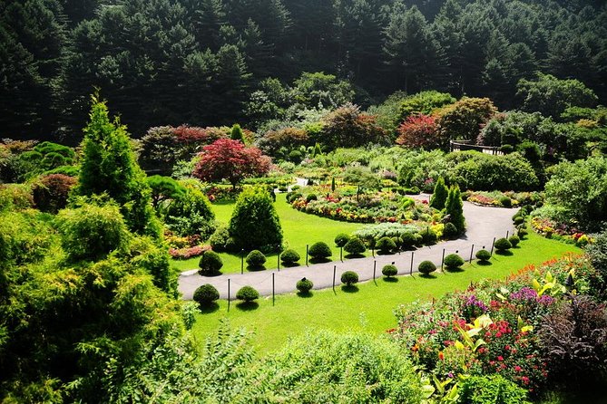 Nami Island& Petite France& Garden of Morning Calm& Italian Village One-Day Tour - Petite France