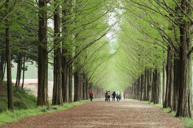 Nami Island& Petite France& Garden of Morning Calm& Italian Village One-Day Tour - Inclusions and Transport