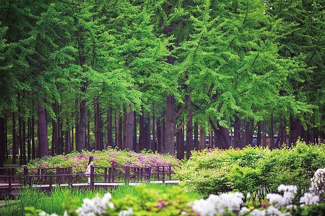 Nami Island& Petite France& Garden of Morning Calm& Italian Village One-Day Tour - Booking Information