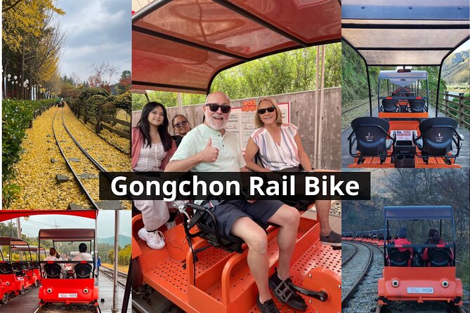 Nami Island & Petite France & Italian Village & Gangchon Rail Bike One-Day Tour - Tour Features and Inclusions